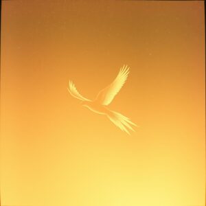 Phoenix Rising